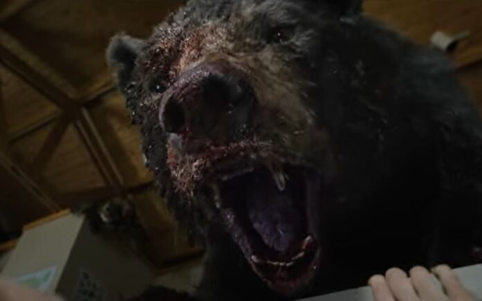 O Urso do Pó Branco trailer insano animal fica louco de cocaína