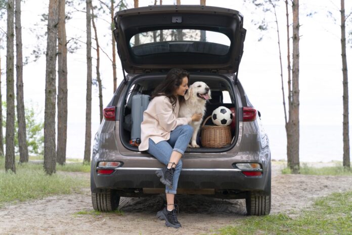 Entenda como treinar seu pet para as viagens de férias